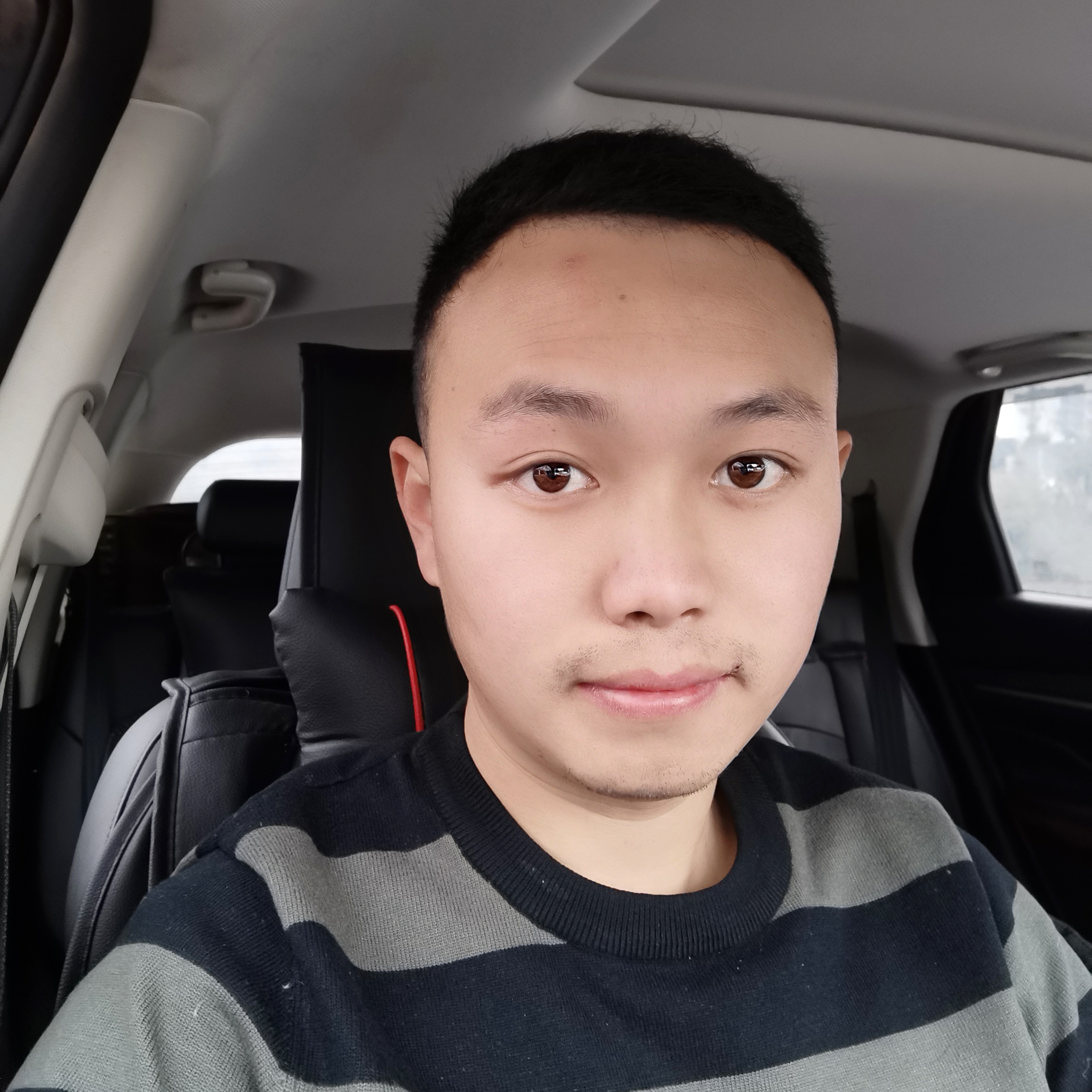 落拓保卫春天的照片