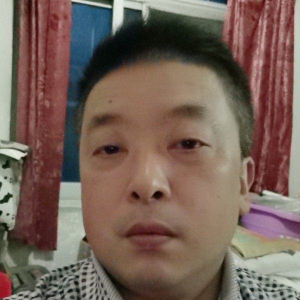 康乃馨向愉快的照片
