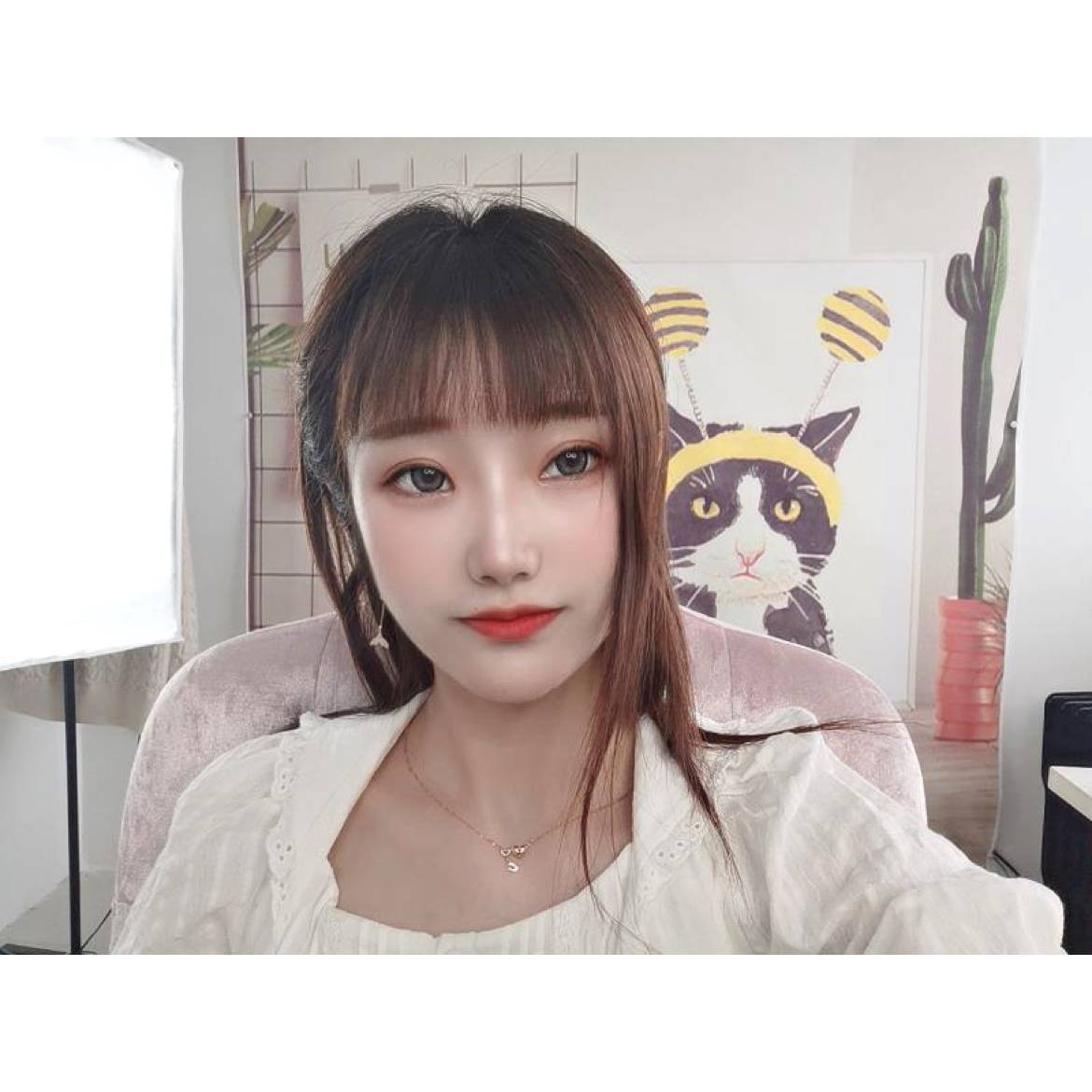 柠檬的照片