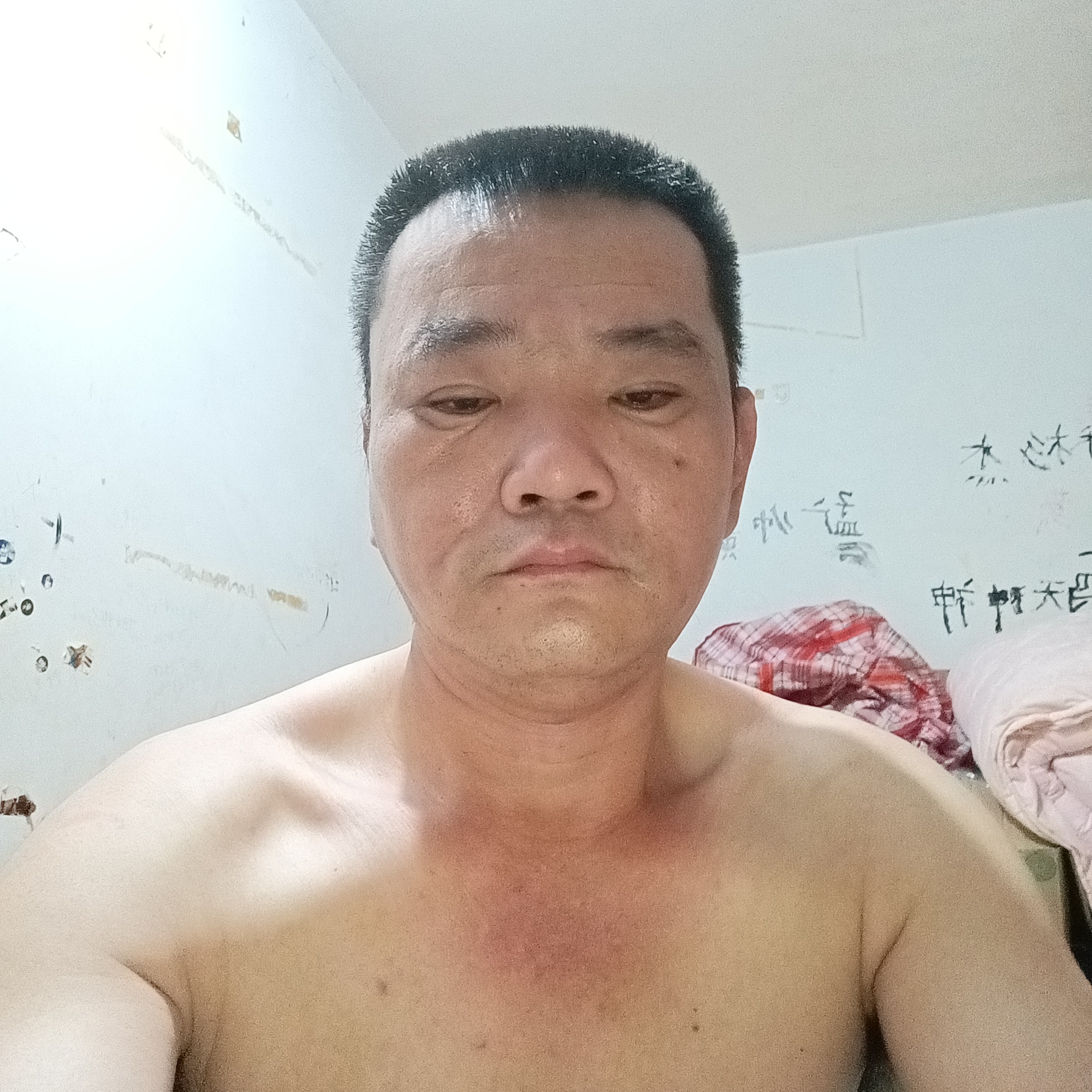 鳗鱼浅吻蜗牛的照片