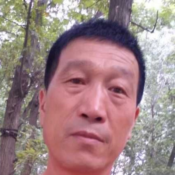 独寂和晨曦的照片