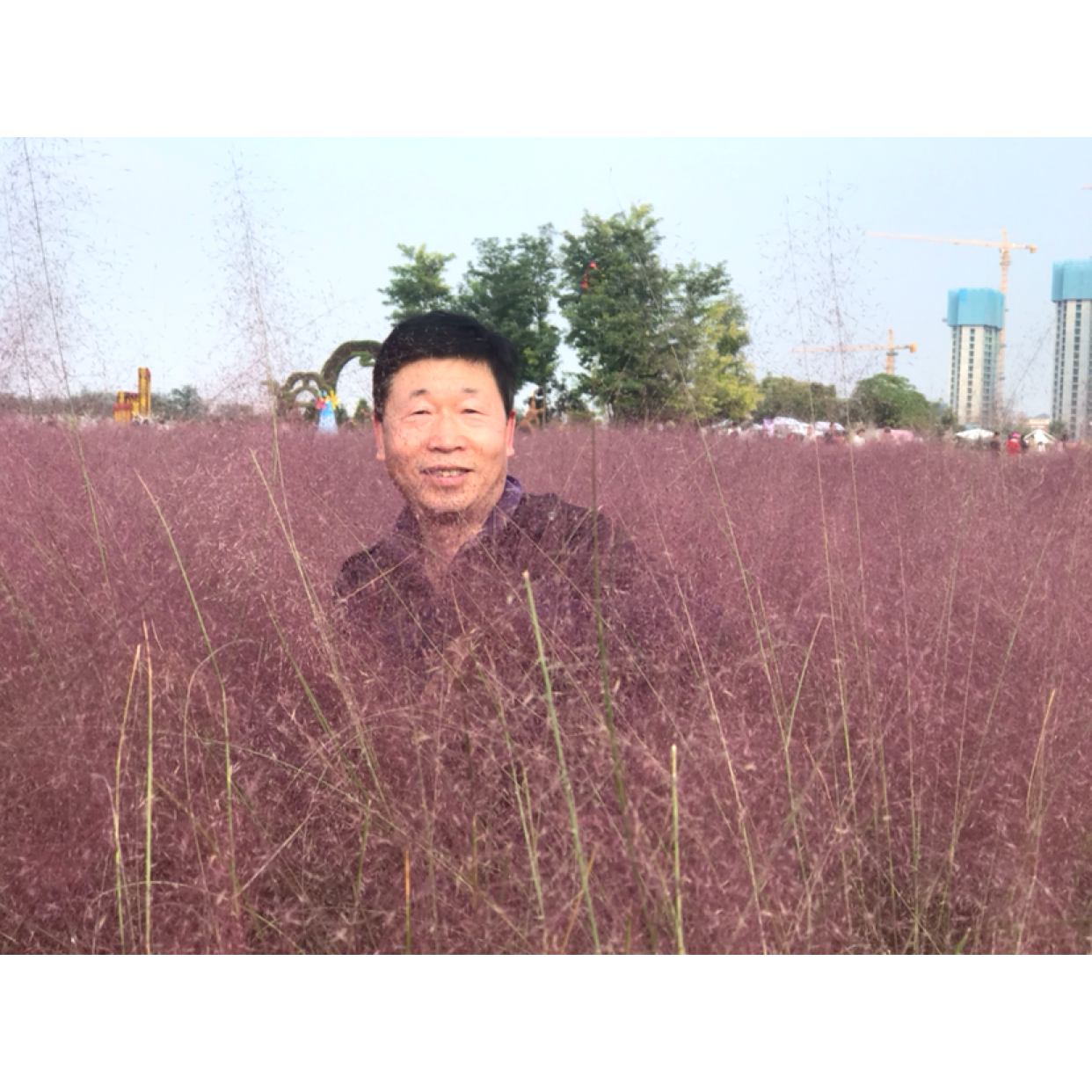 骊山映韵的照片
