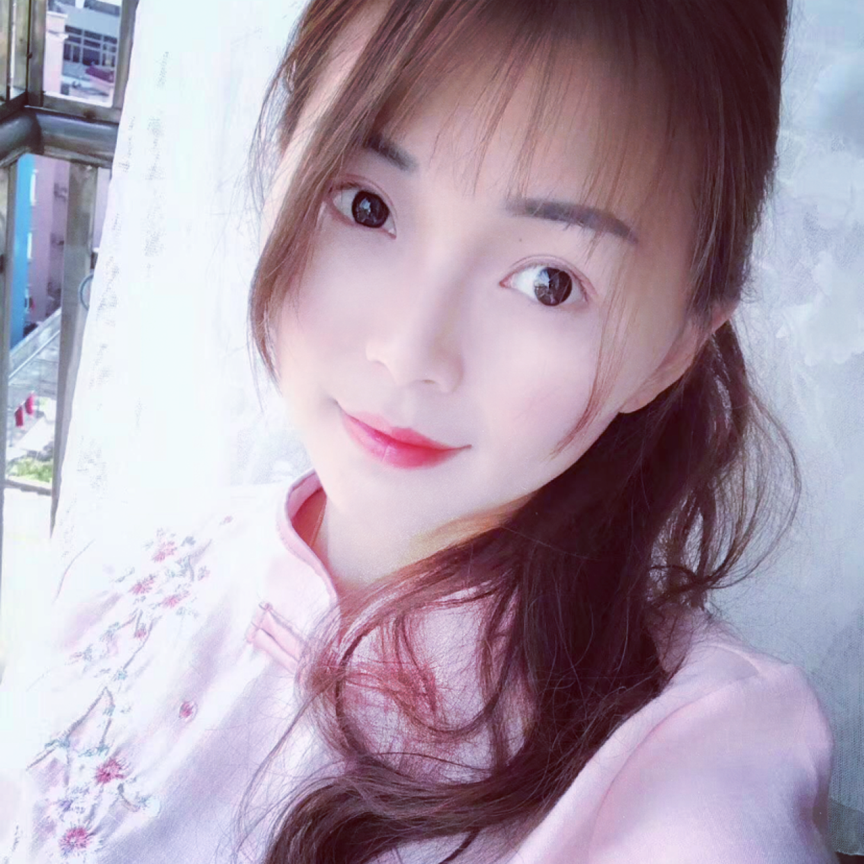 外向浅吻小海豚的照片
