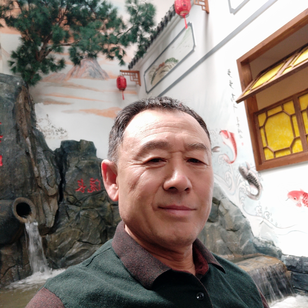 金鱼成就的照片