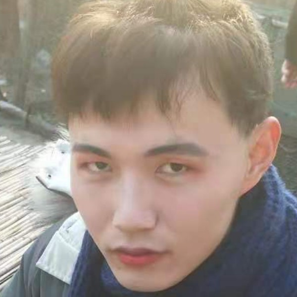 彩色爱花瓣的照片