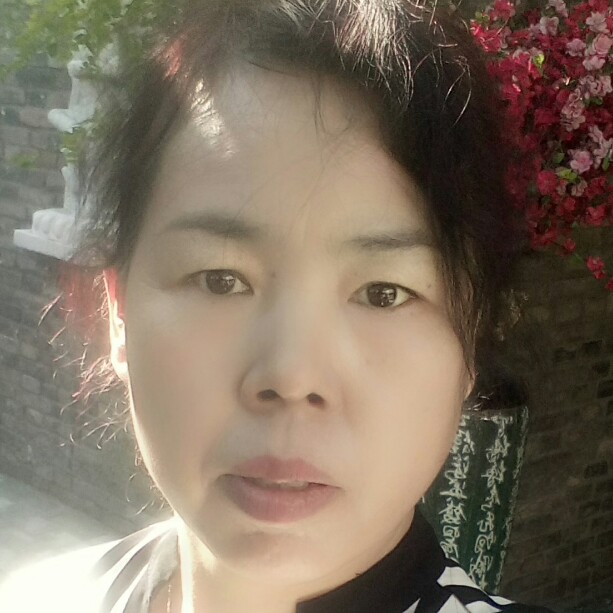 辛勤海燕的照片