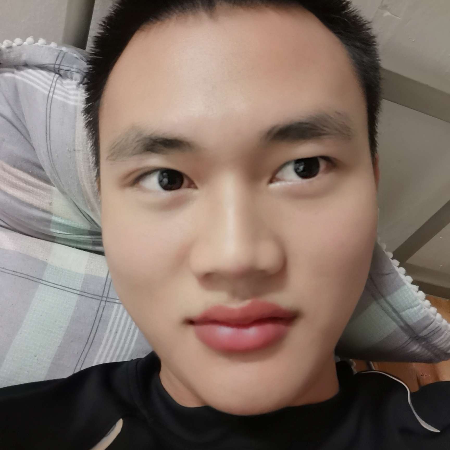 歌曲放弃狂野的照片