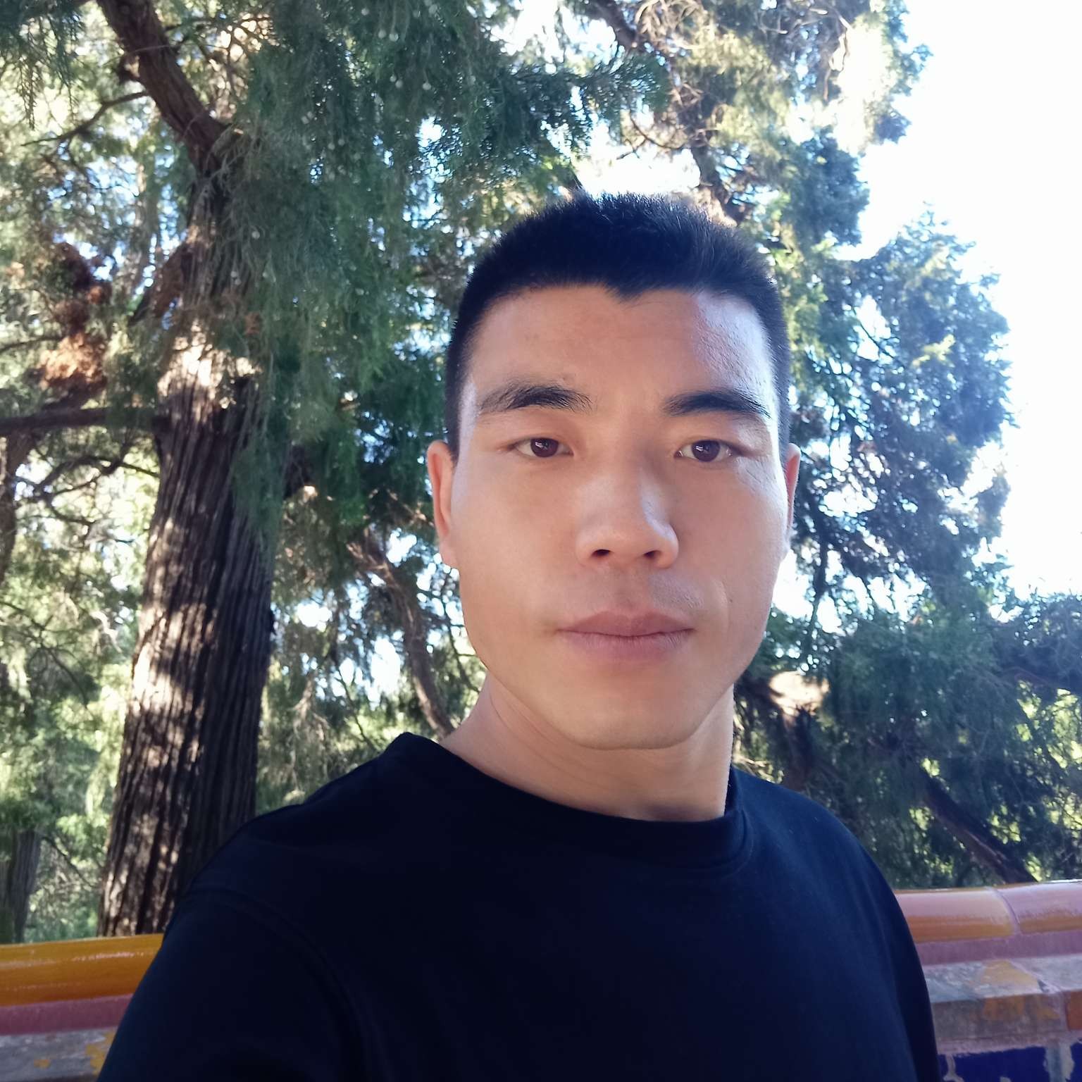 玫瑰深拥隐形的照片