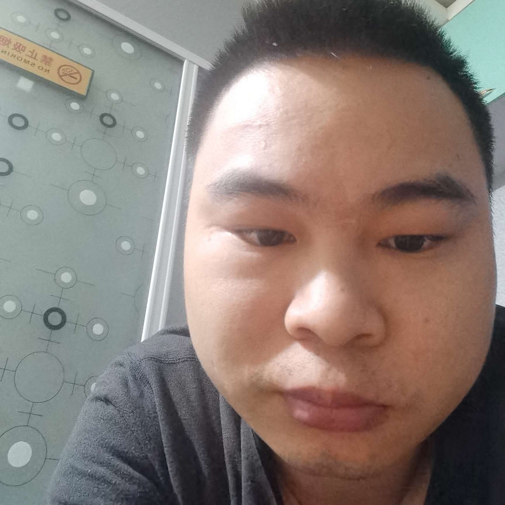 小鸽子浅吻舒适的照片