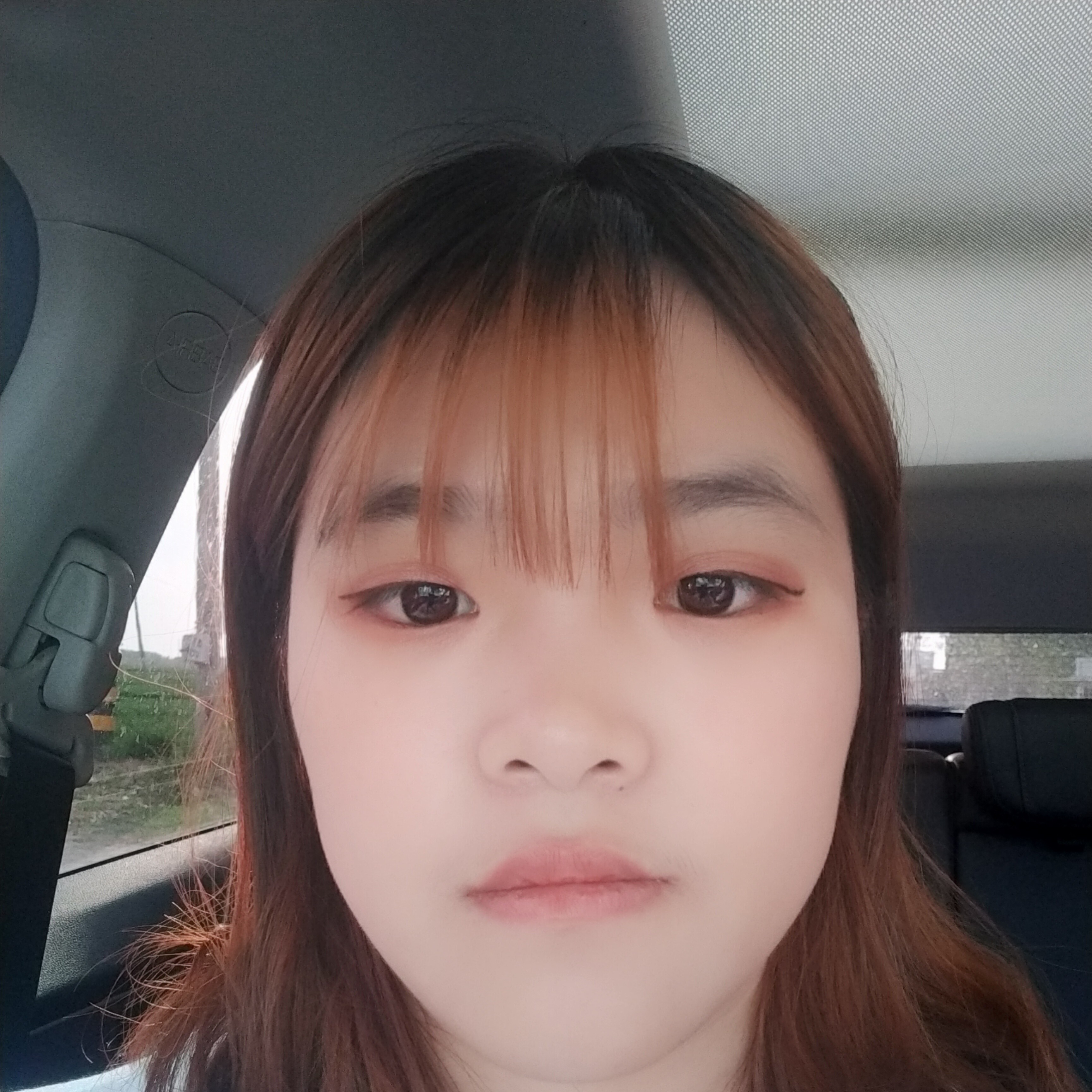 迷路扯蝶衣的照片