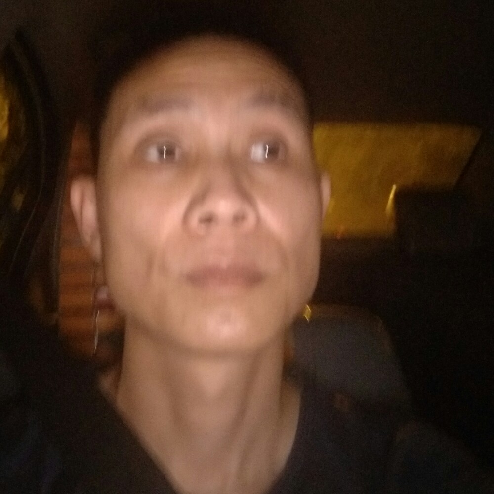 仙人掌挽手洁净的照片
