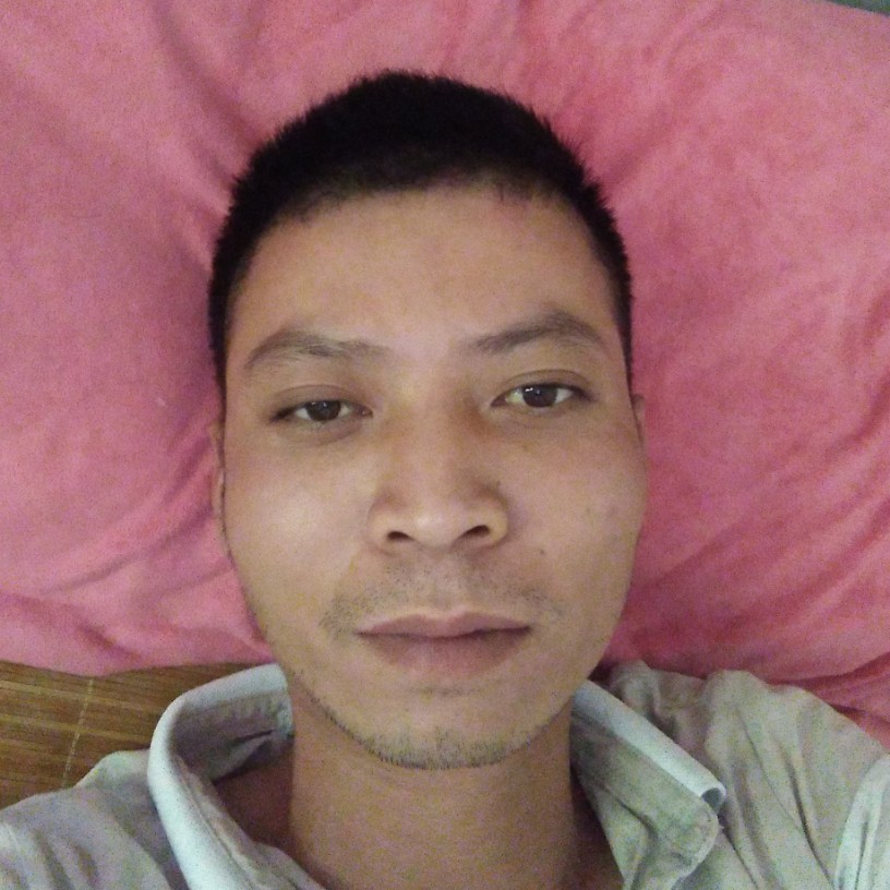 草丛包容的照片