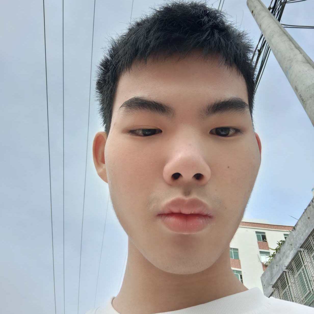 獨享世间落寞的照片