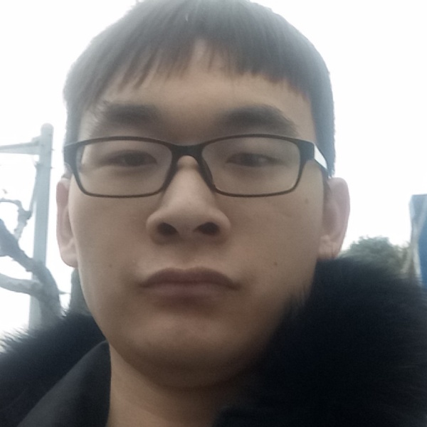强健红玫瑰的照片