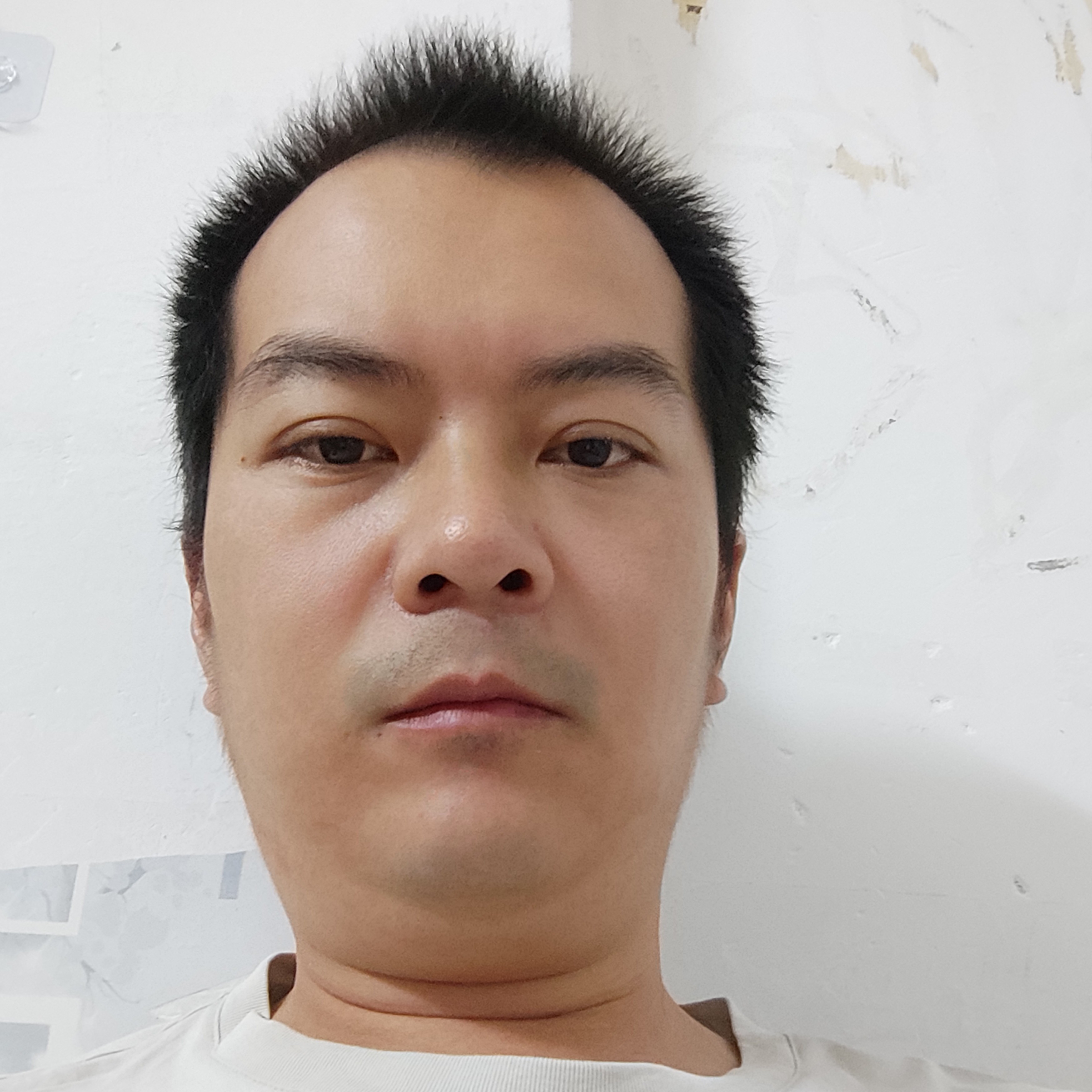 泥猴桃火星上的照片