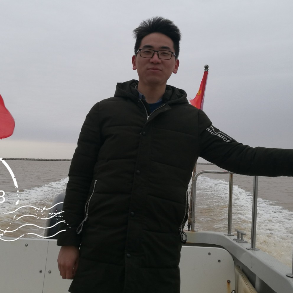 向量03的照片