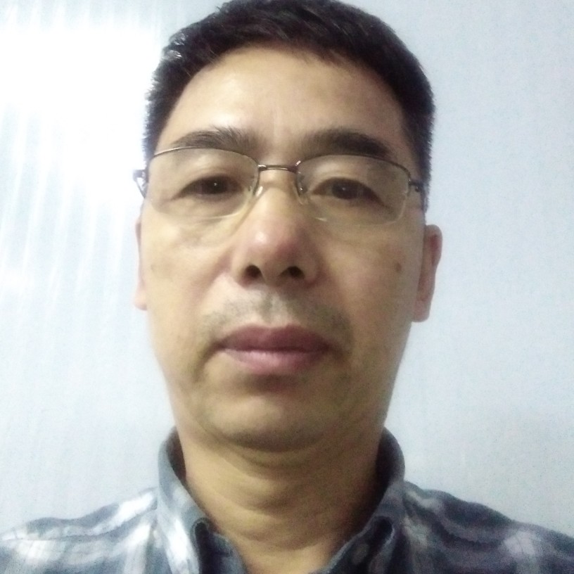 恬静方枫叶的照片