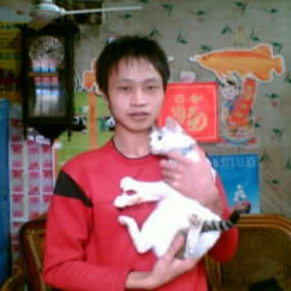 爱听歌保卫鱼的照片