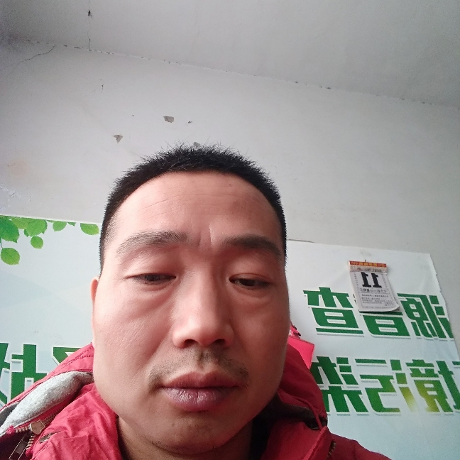 男鸭的照片