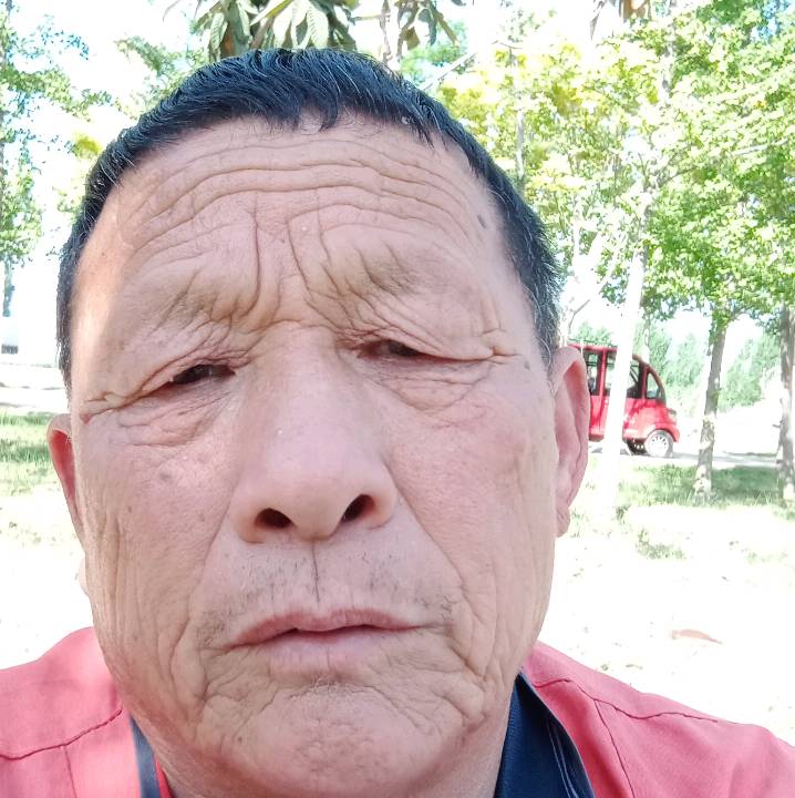 小蝴蝶倾心粗暴的照片