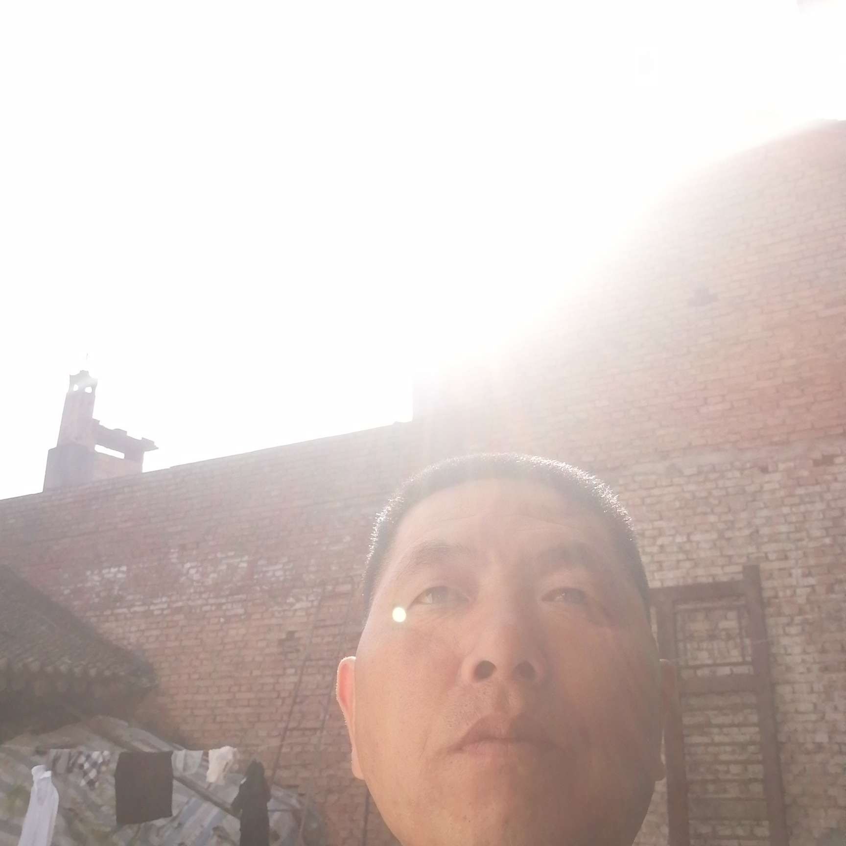 悦耳挽手豌豆的照片