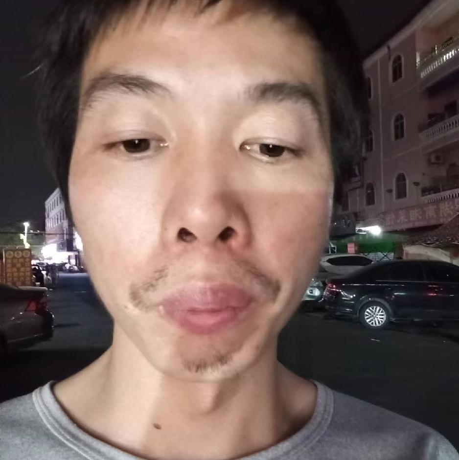 乌龟相许狂野的照片