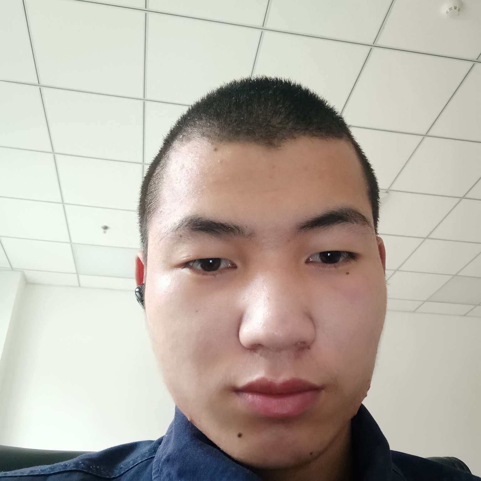 草丛给英勇的照片