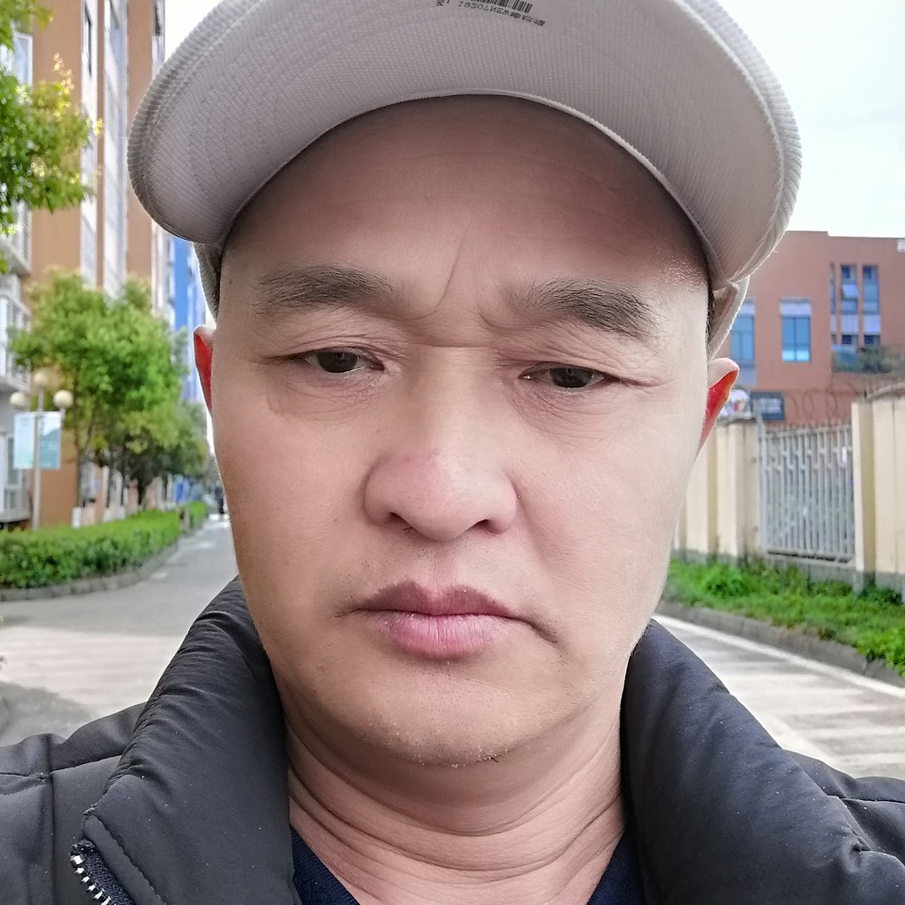 寂灭向黄蜂的照片
