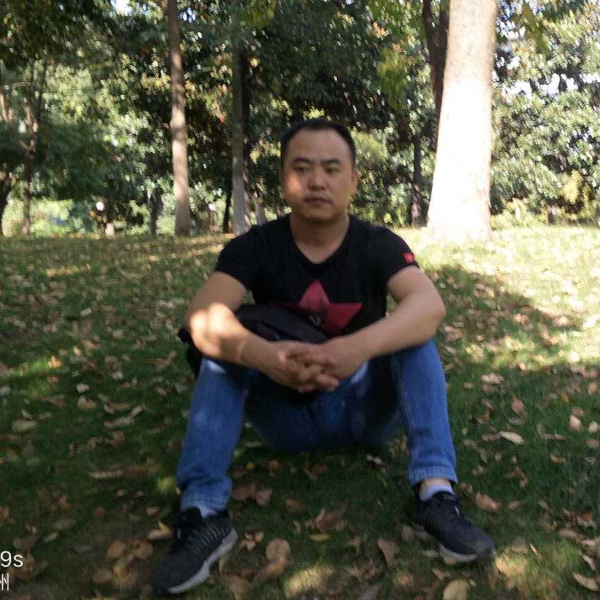 智趣的照片