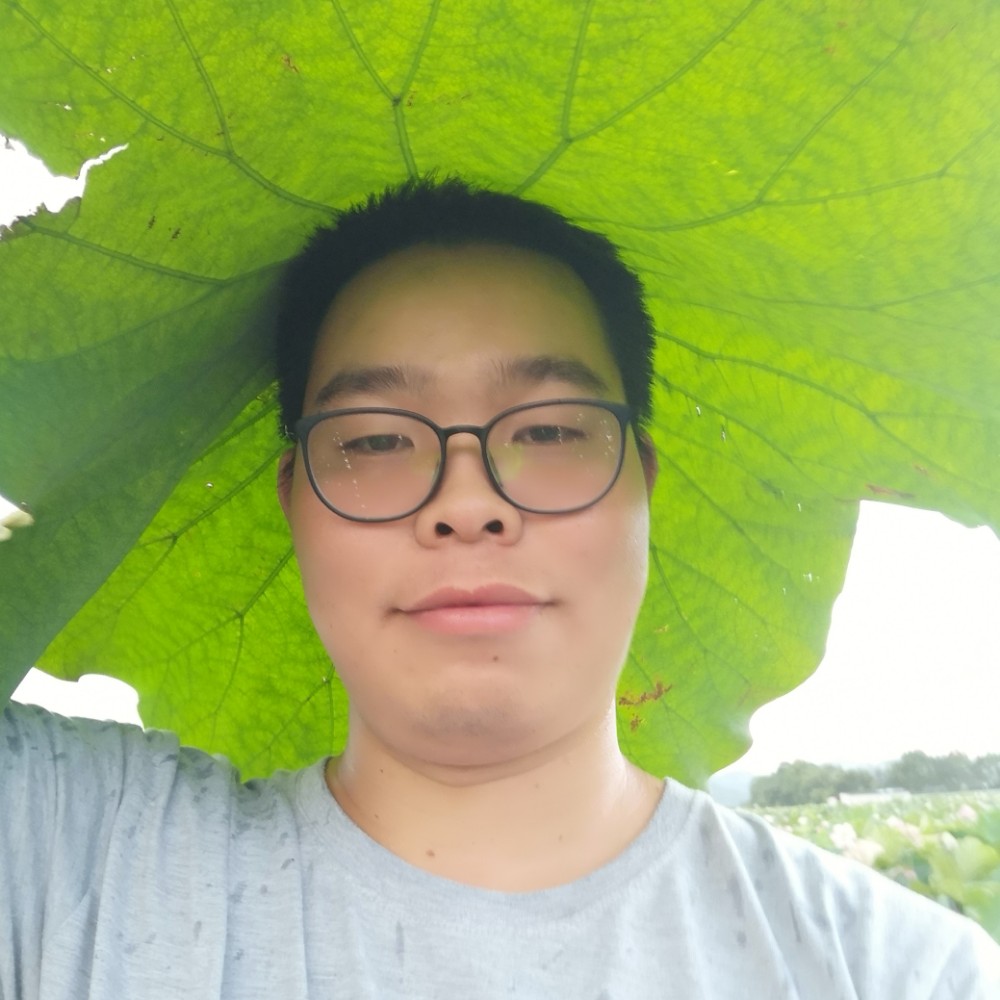 活力的钢笔的照片