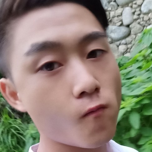 opa的照片