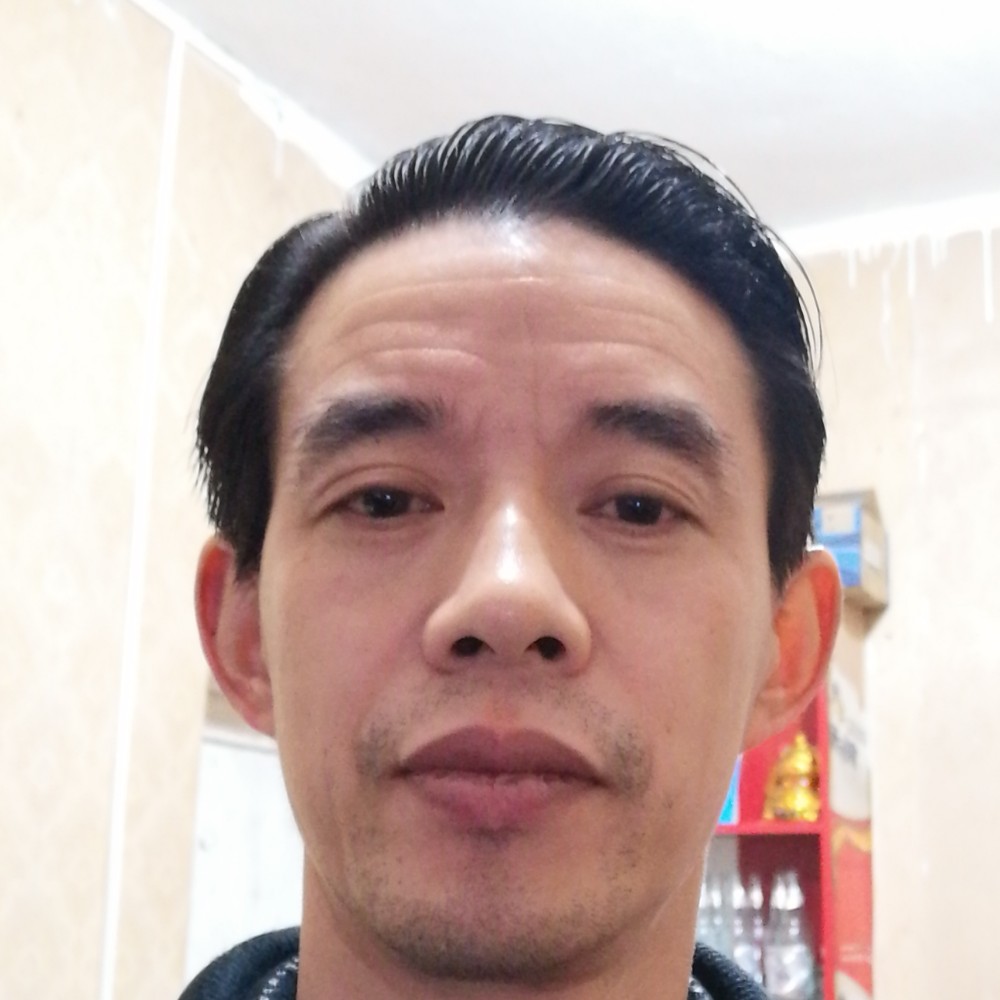 认真的河马的照片