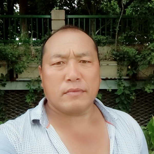 我陪你一被子龙的照片