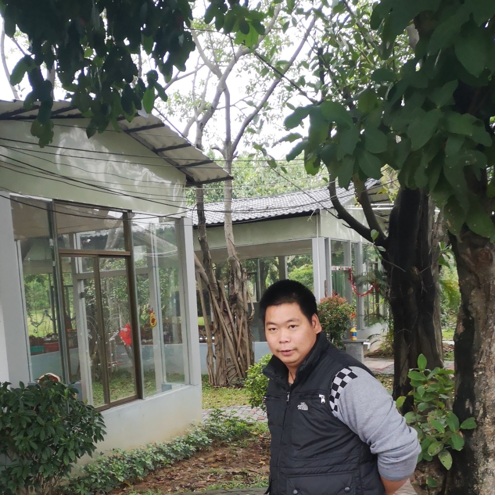 蓝莓爱恋忧虑的照片