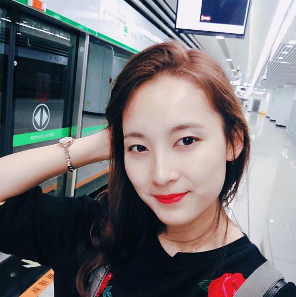 温柔的玫瑰6的照片