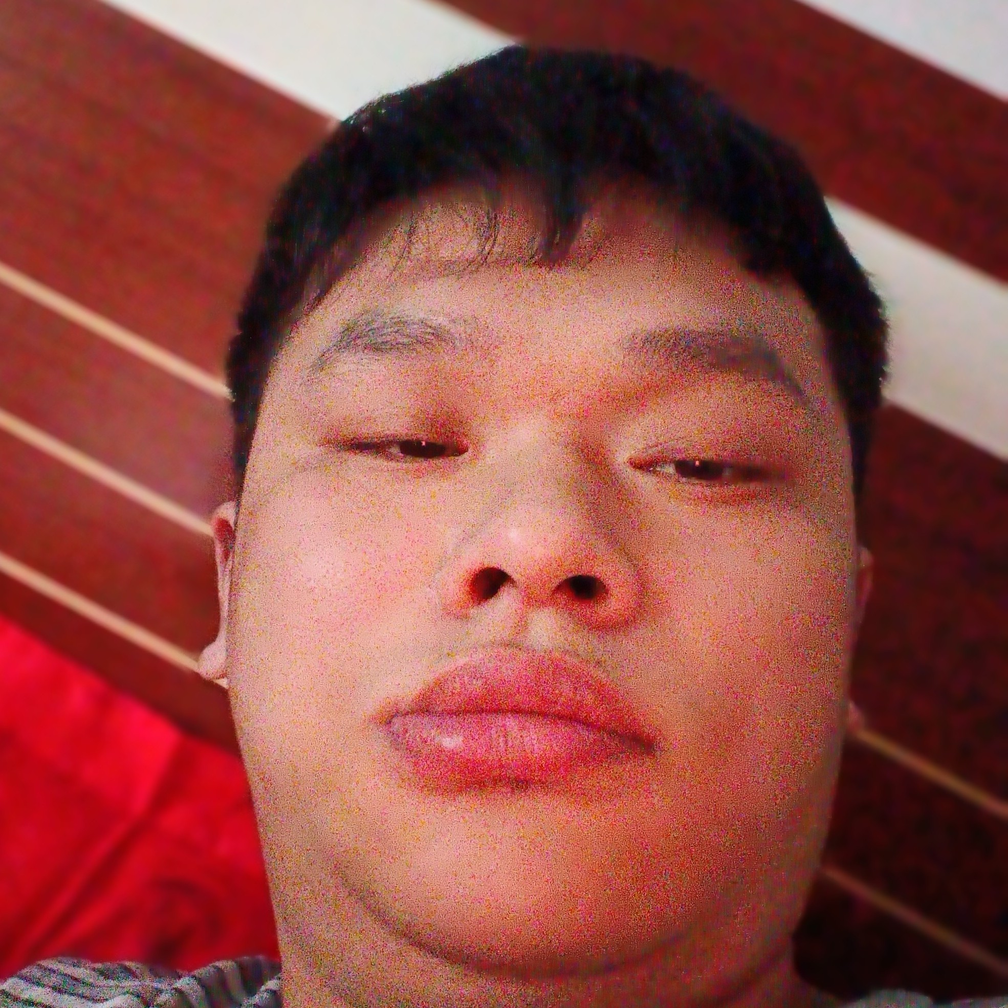 树叶等待流年的的照片