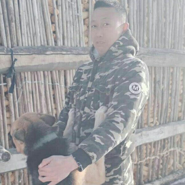 澳门浪子的照片