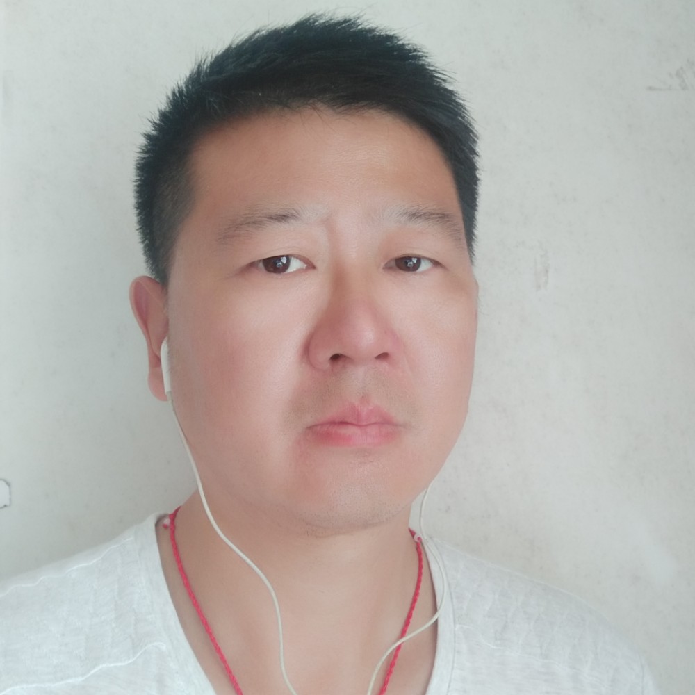 小海豚冷酷的照片