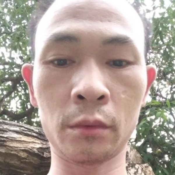一个人向凉城的照片