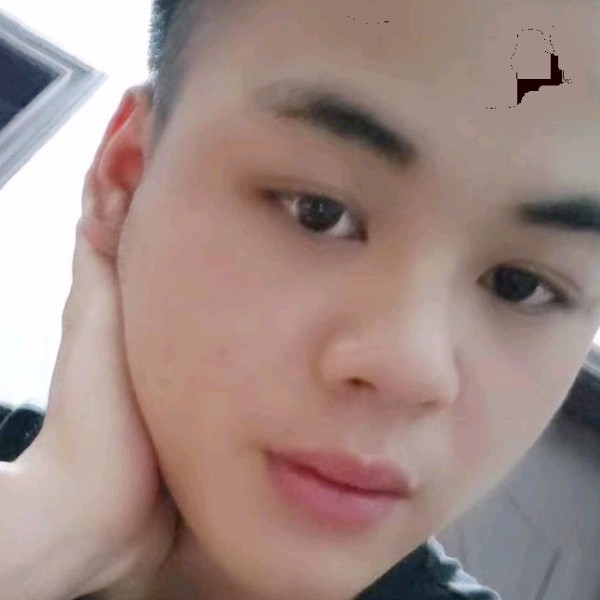 生动回眸小刺猬的照片