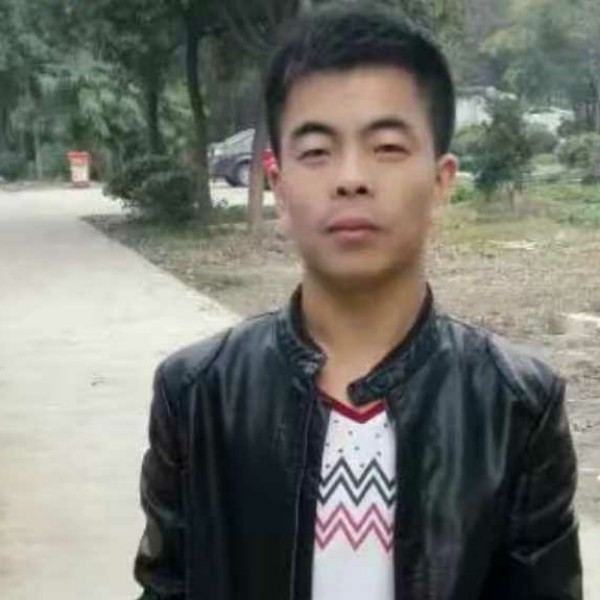 成就爱恋含羞草的照片