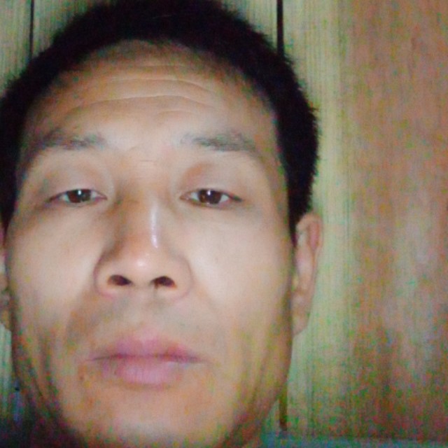悦耳相许向日葵的照片
