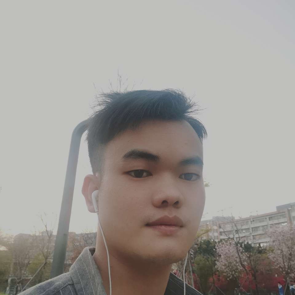 谁de乌贼的照片