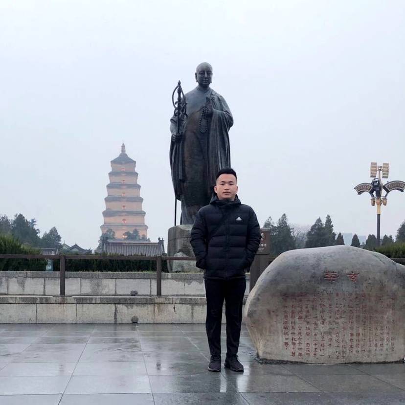 忧虑多么仙人掌的照片