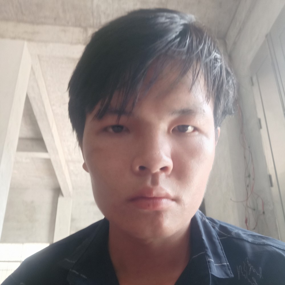 落叶凋零的照片