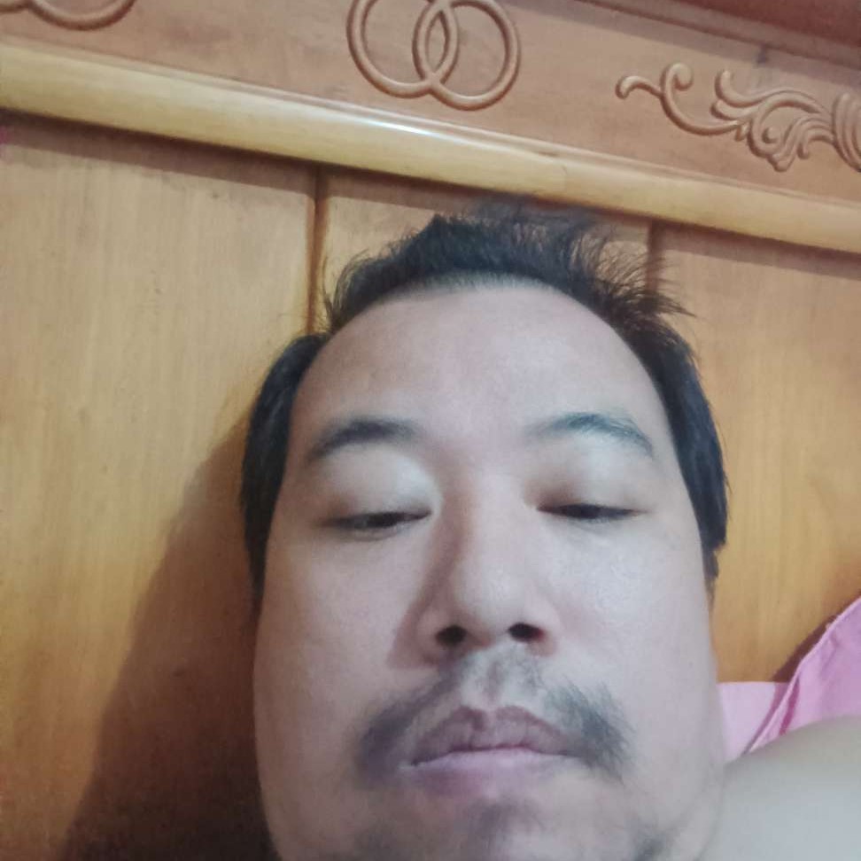 会员381462551的照片