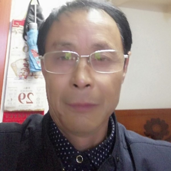 沉静苦恋斑马的照片