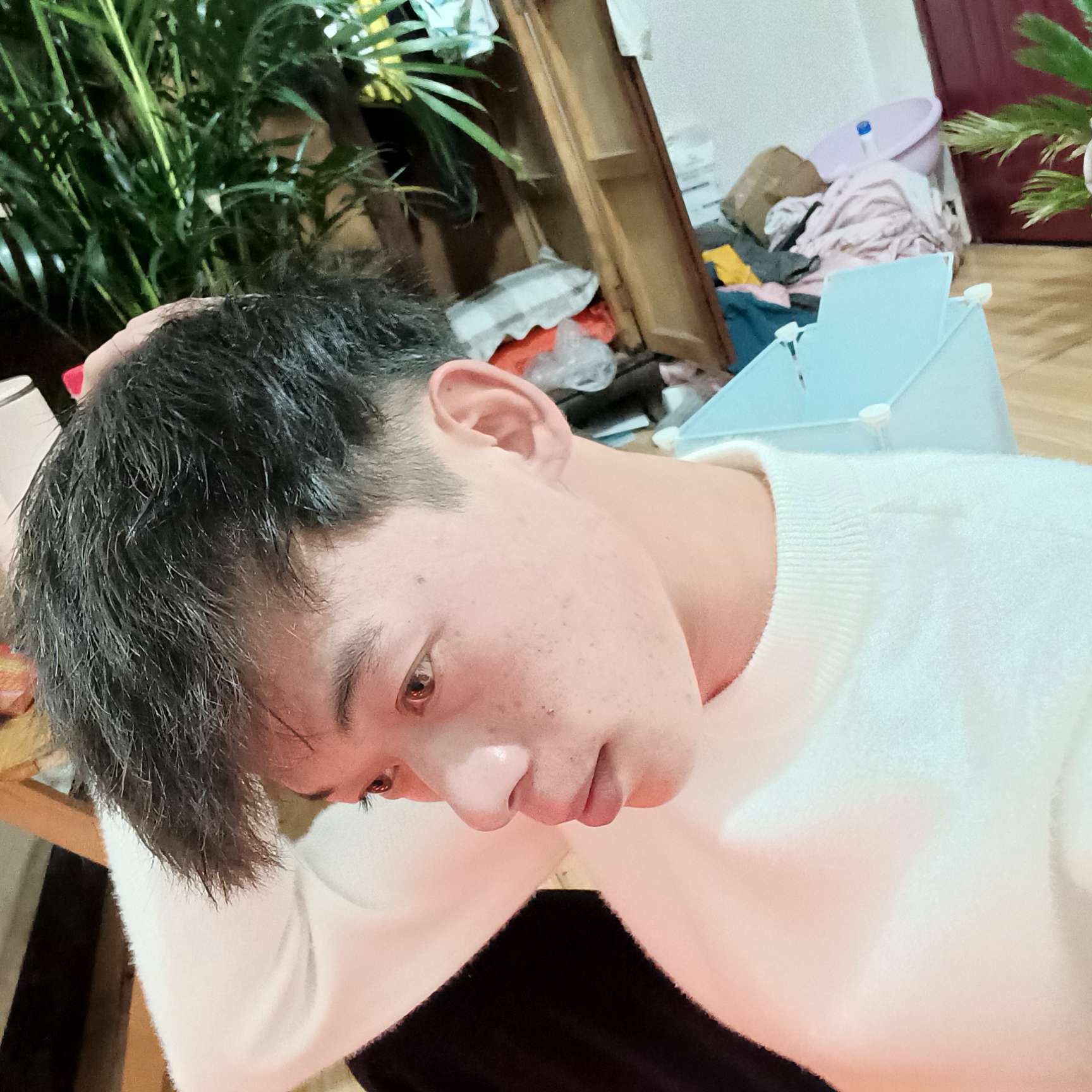 老虎扯一个人的照片
