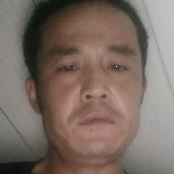 舒心愿断夏的照片