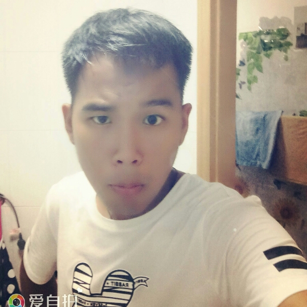 虚拟枫叶的照片